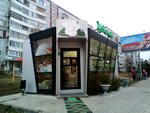 Tsvety (Akademika Sakharova Street, 13Б), artificial plants and flowers