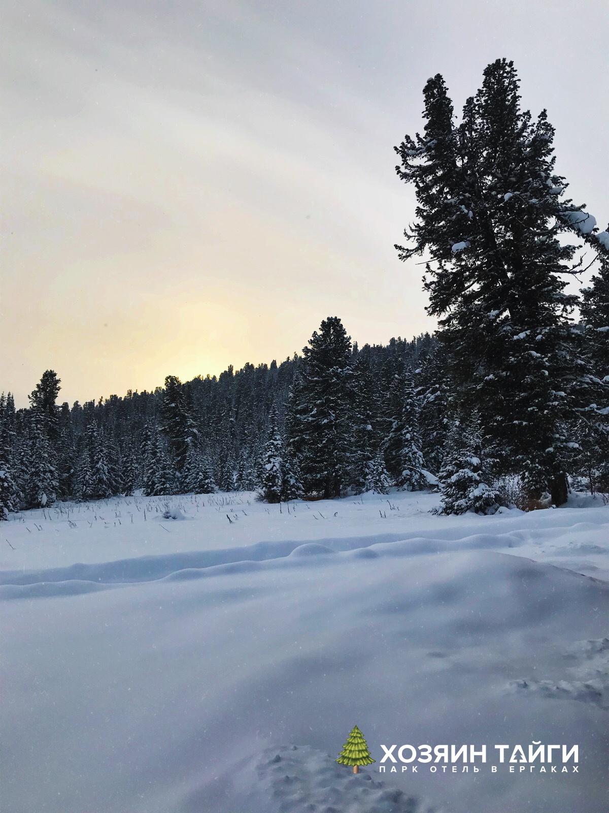 Фото Хозяин тайги Ергаки