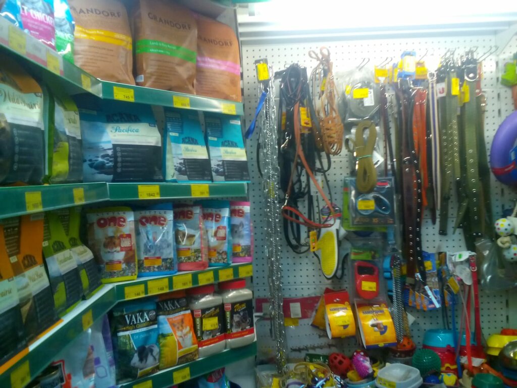 Город Зоо Томск Интернет Магазин