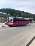 Vikauto (Kosmonavtov Avenue, 53), bus transportation