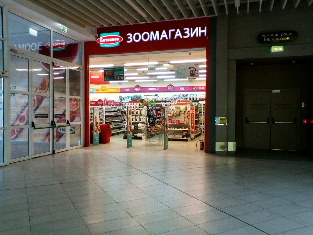 Магазин Мега Казань Каталог