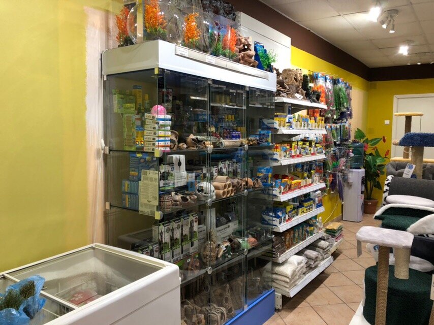 Золотая рыбка суворовский просп 13 фото Панорама: Золотая рыбка, зоомагазин, Суворовский просп., 13, Санкт-Петербург - Я