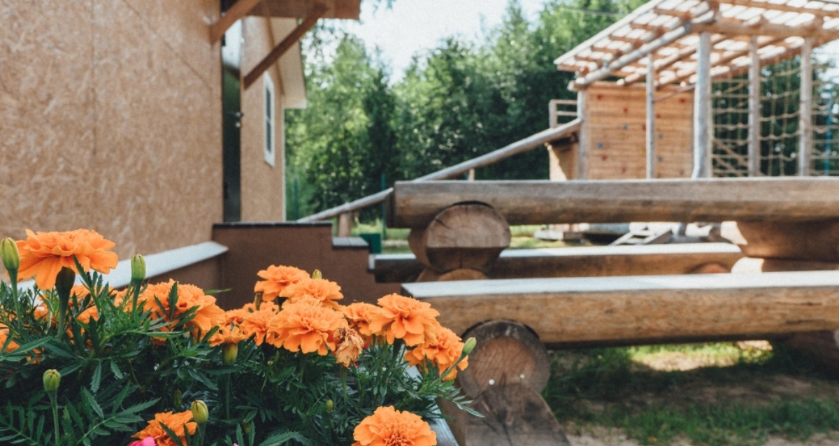 Фото Пикник