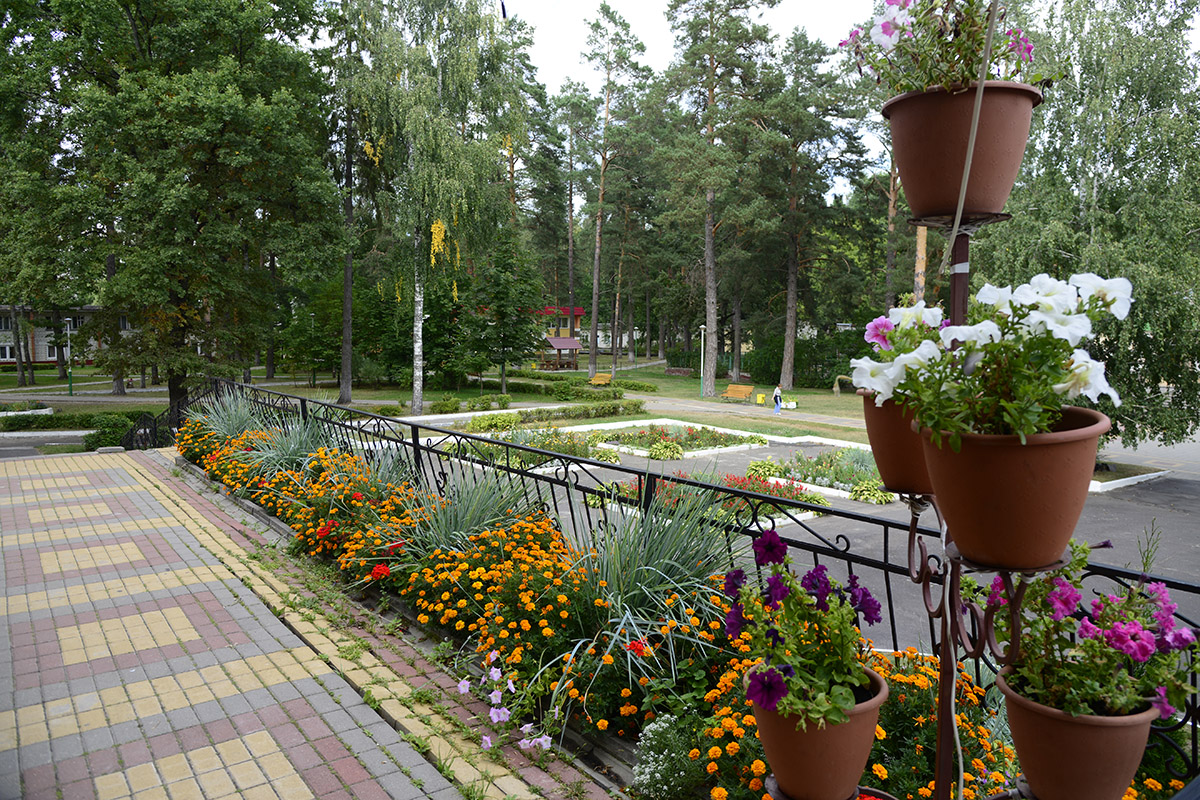 Фото Ателика Снежка