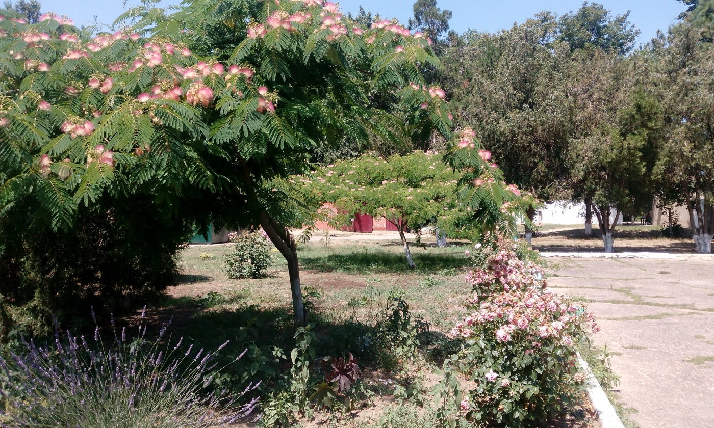 Фото Касабланка