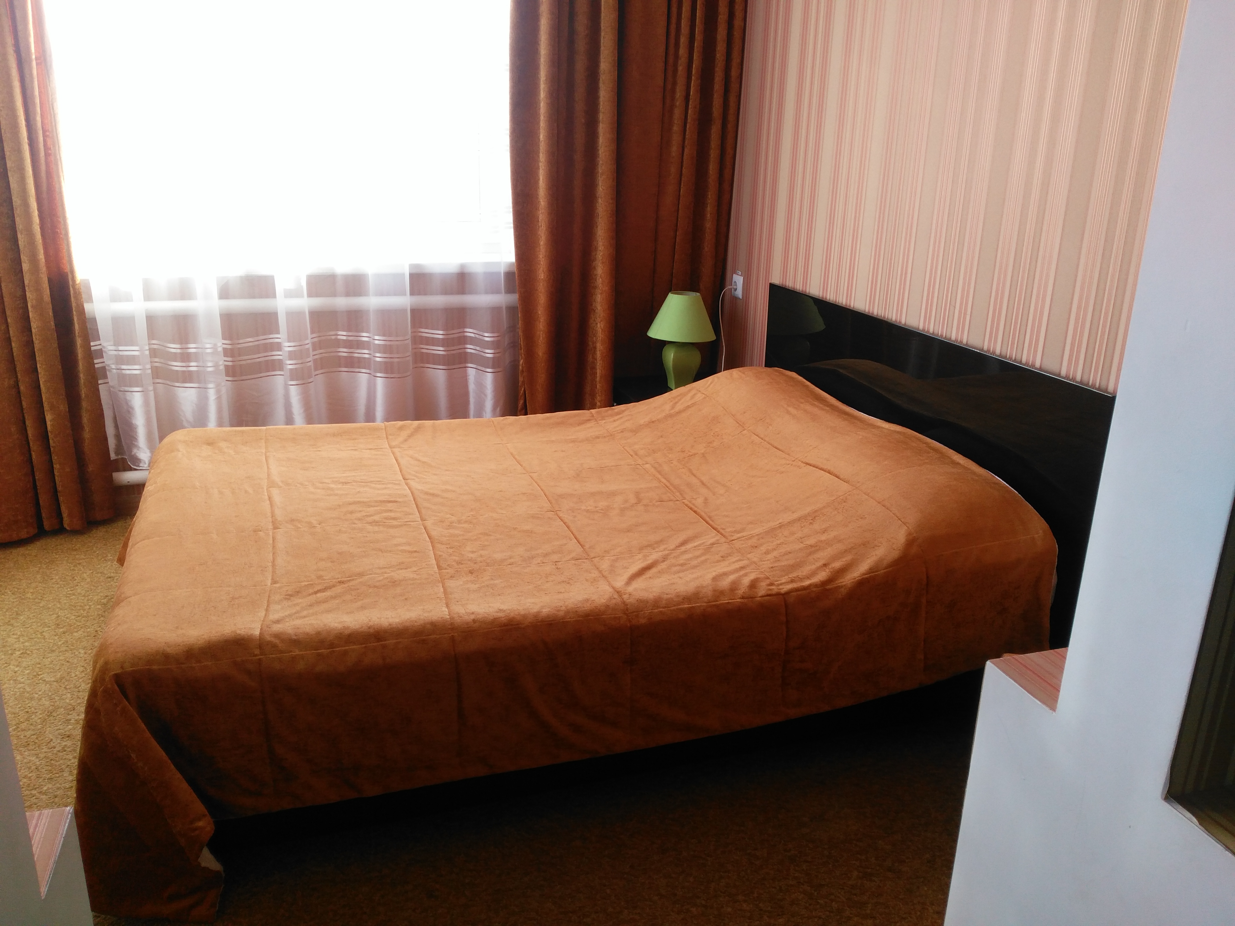 Фото Светлячок