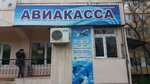 Vi al avia (Afrosiyob Street, 29) ، الرحلات الجوية