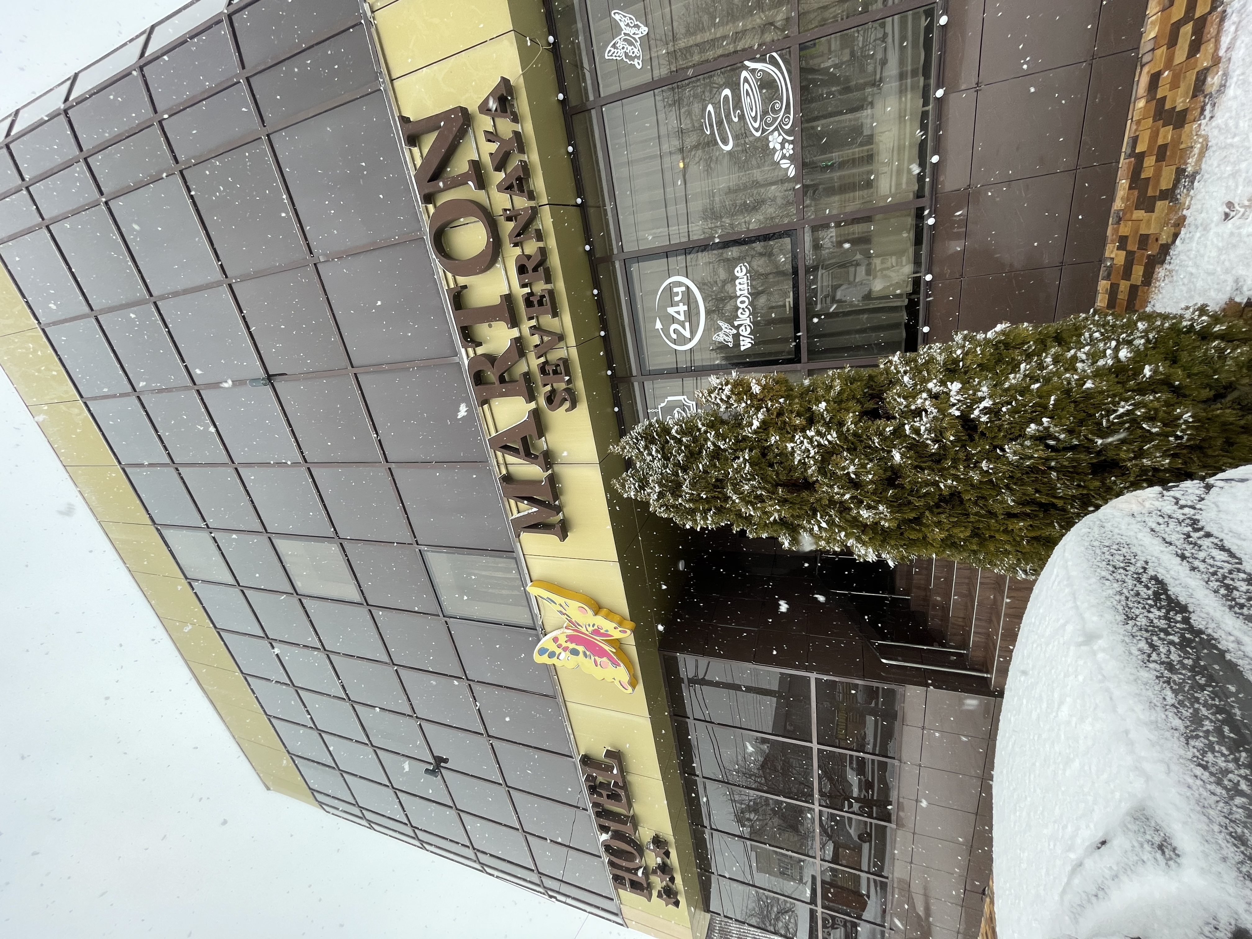 Фото Мартон Палермо