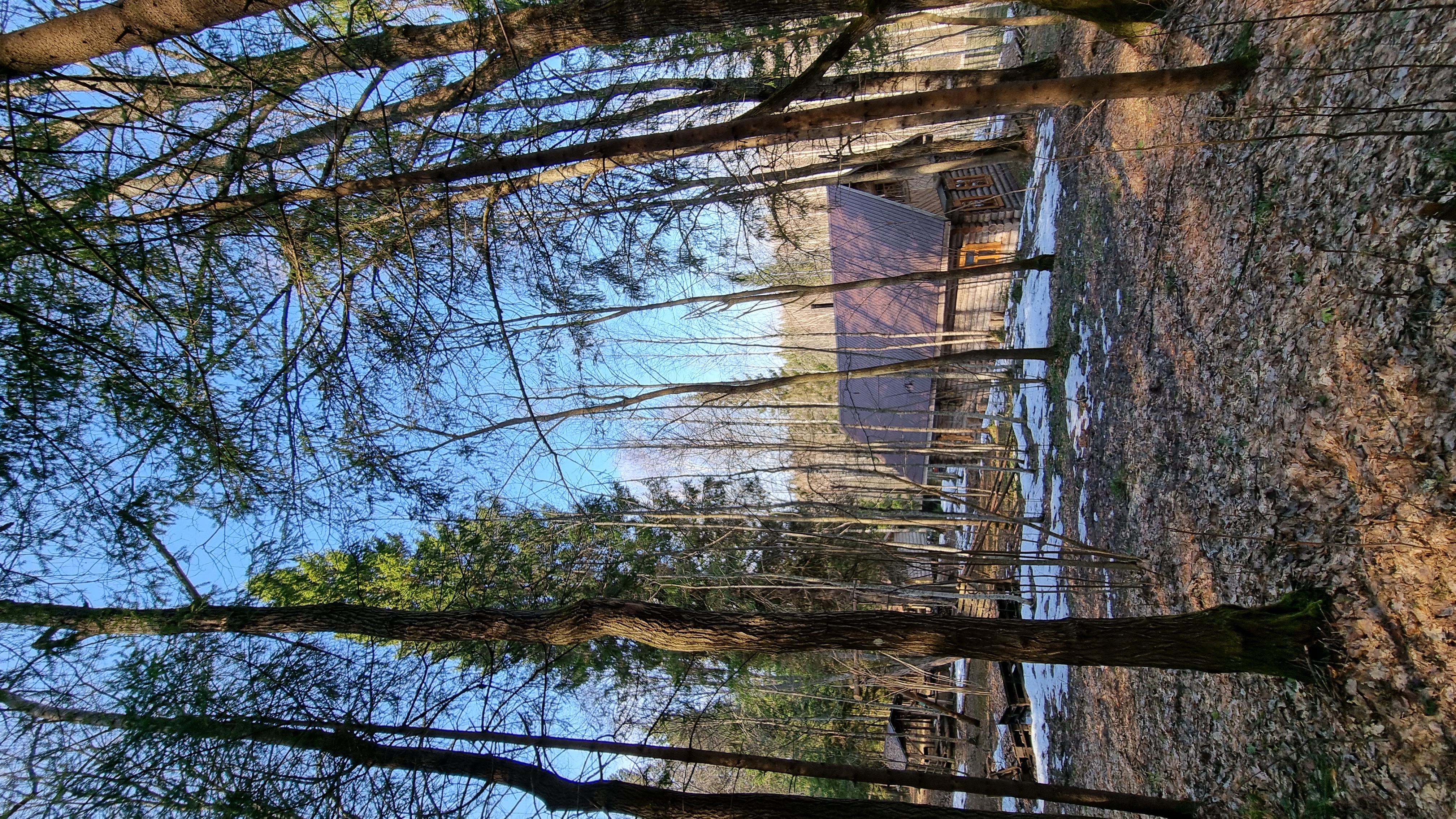 Фото У Лыжника