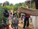 Future International Nursery (45, Sheikh Salim Bin Sultan Al Qasimi Street, Wasit, Sharjah), kindergarten, nursery