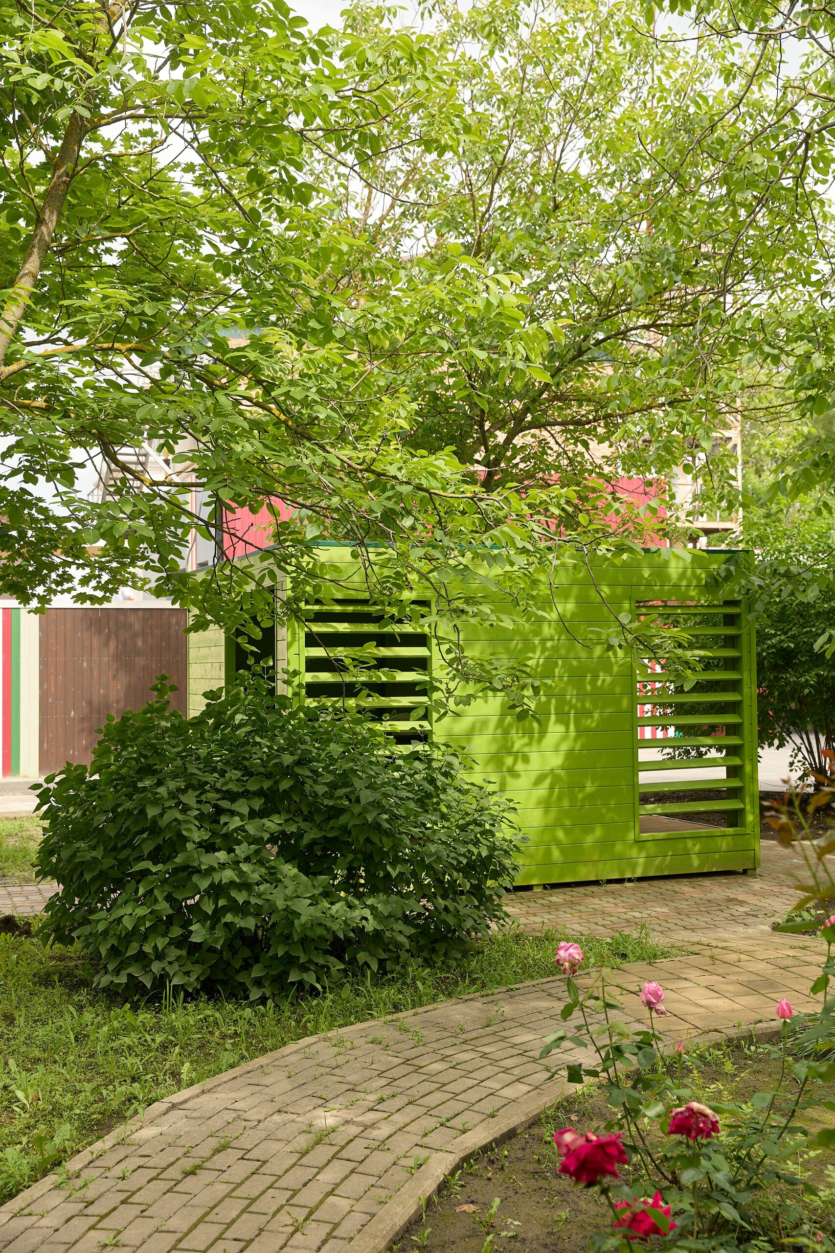 Фото Iva тенистая