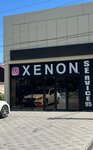 Xenon Service, Ip (ulitsa Zhukovskogo, 93), car service, auto repair