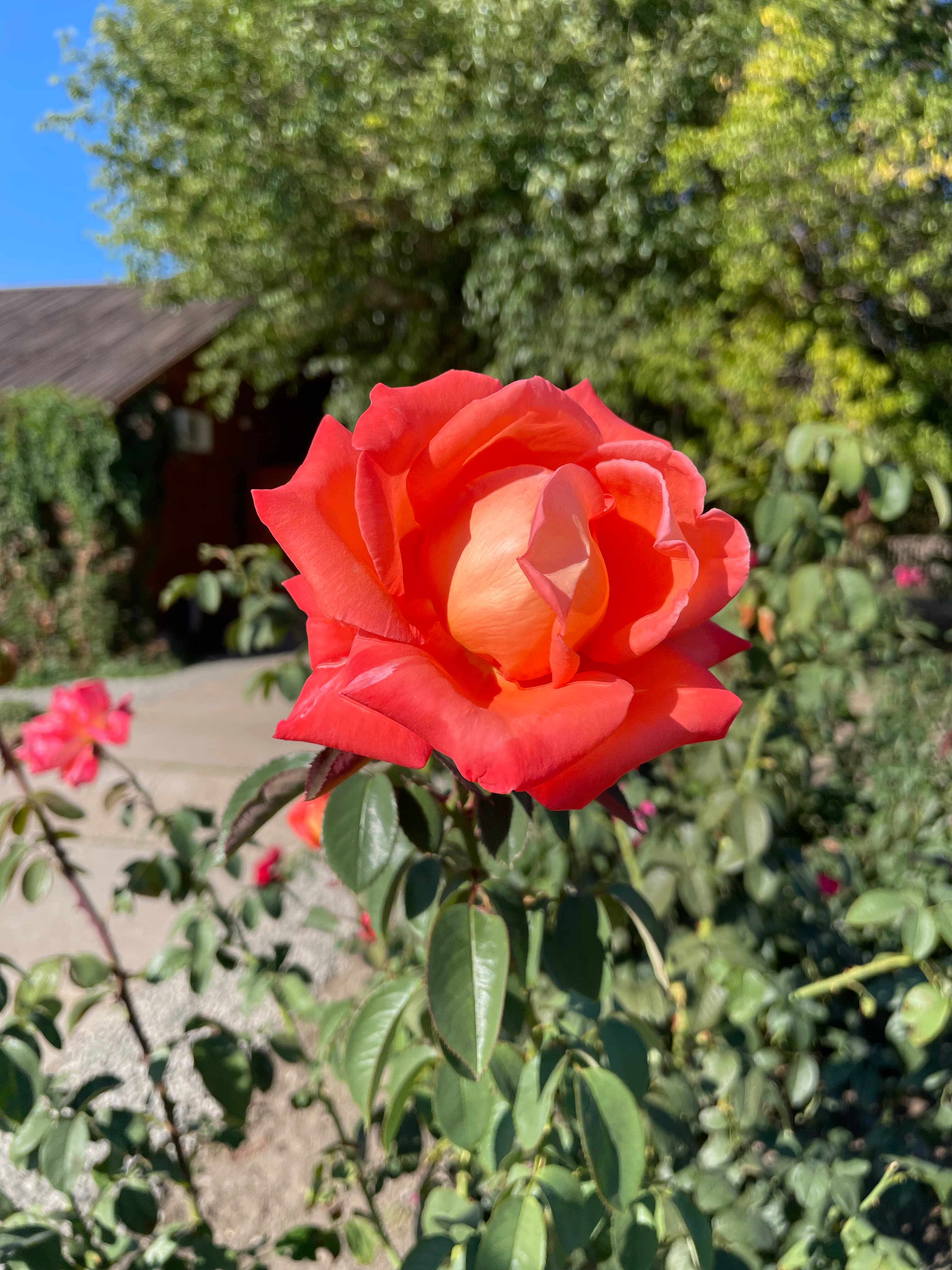 Фото Пристань рыбака