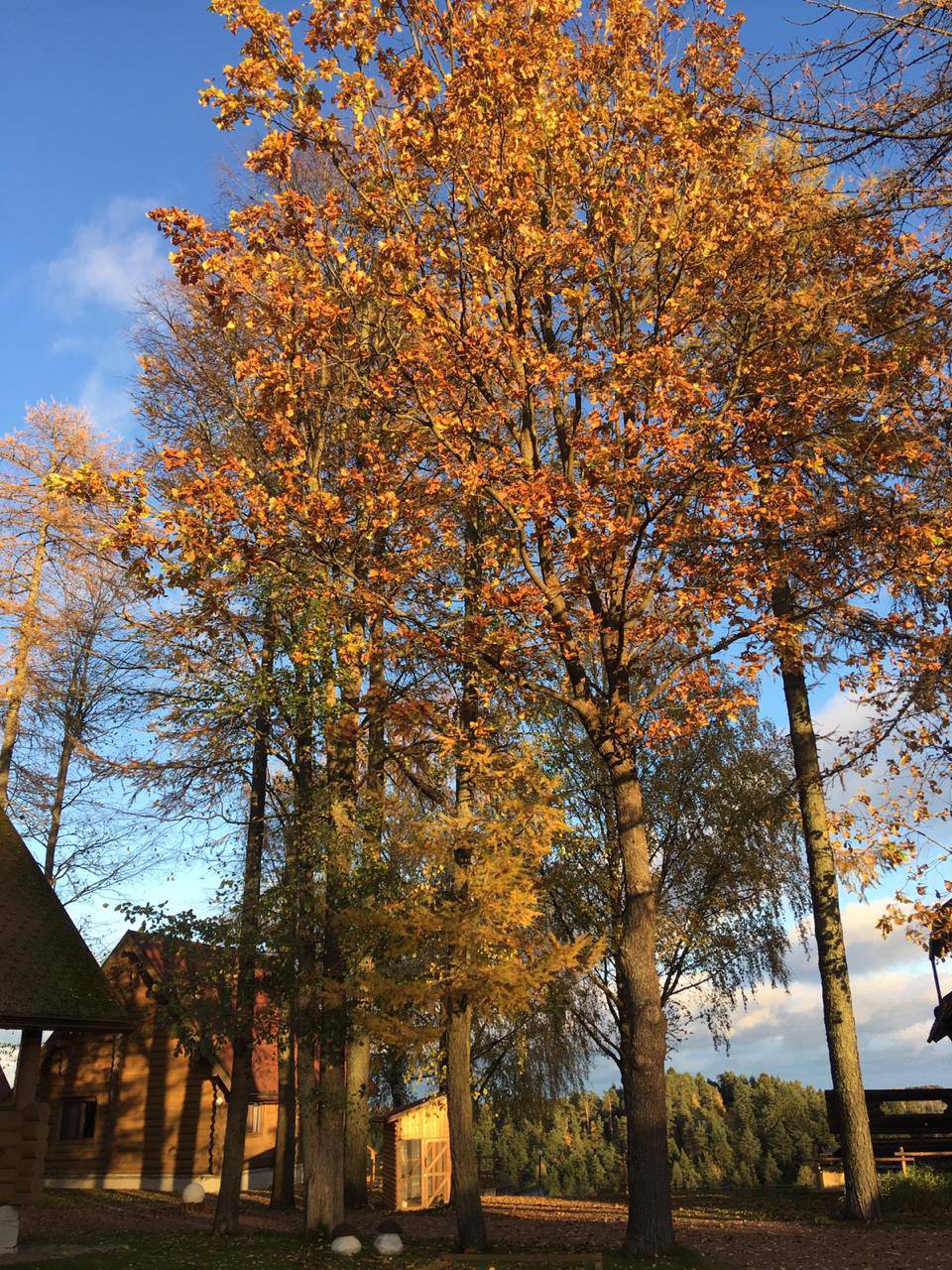 Фото Усадьба Пан Фазан