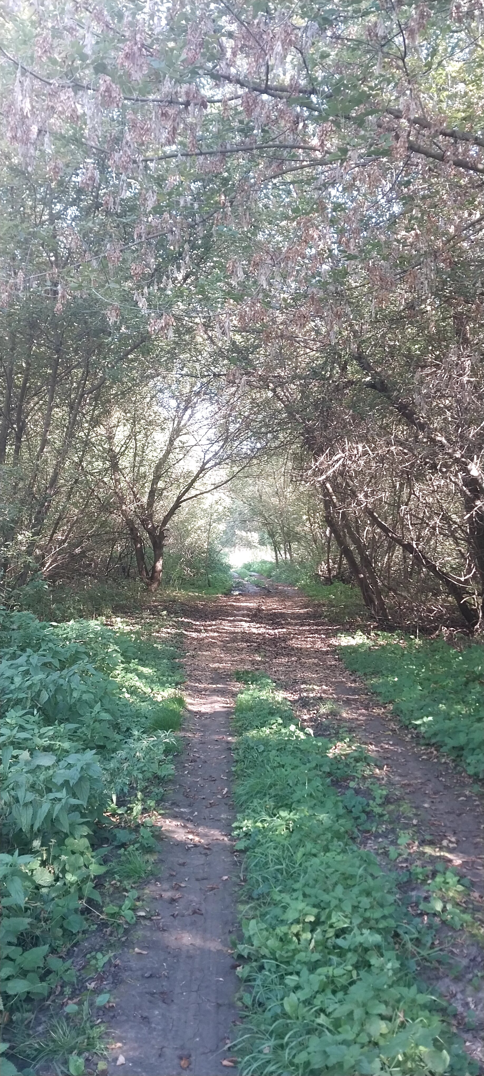 Фото Фактория