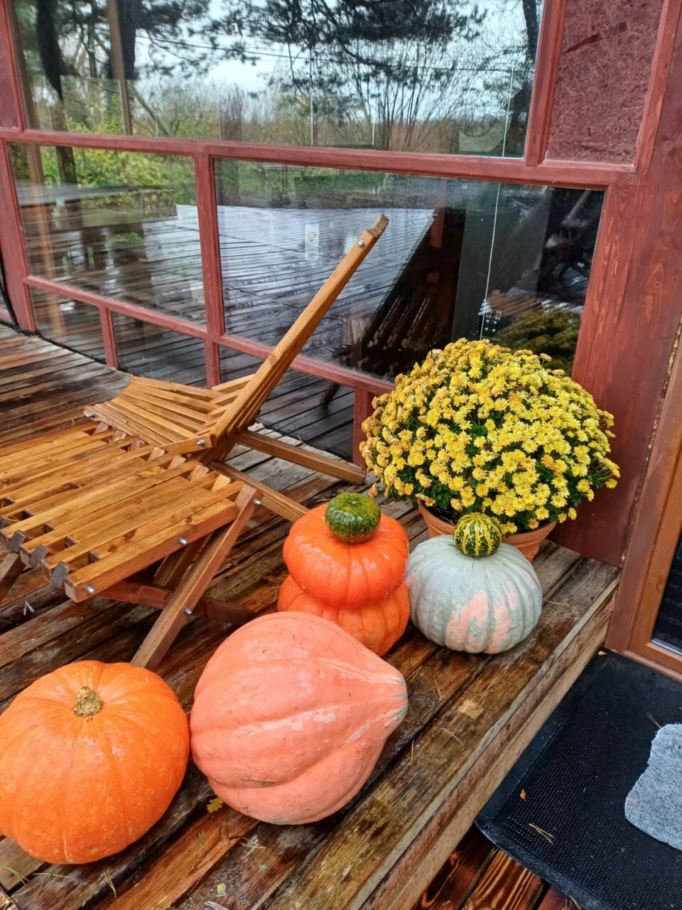 Фото Куршале