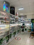 Aptechny punkt, Ip Sabirova Ye. Ye (ulitsa Frunze, 22), pharmacy