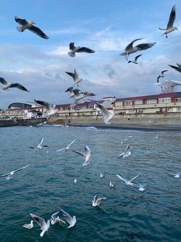 Край моря  фото 8
