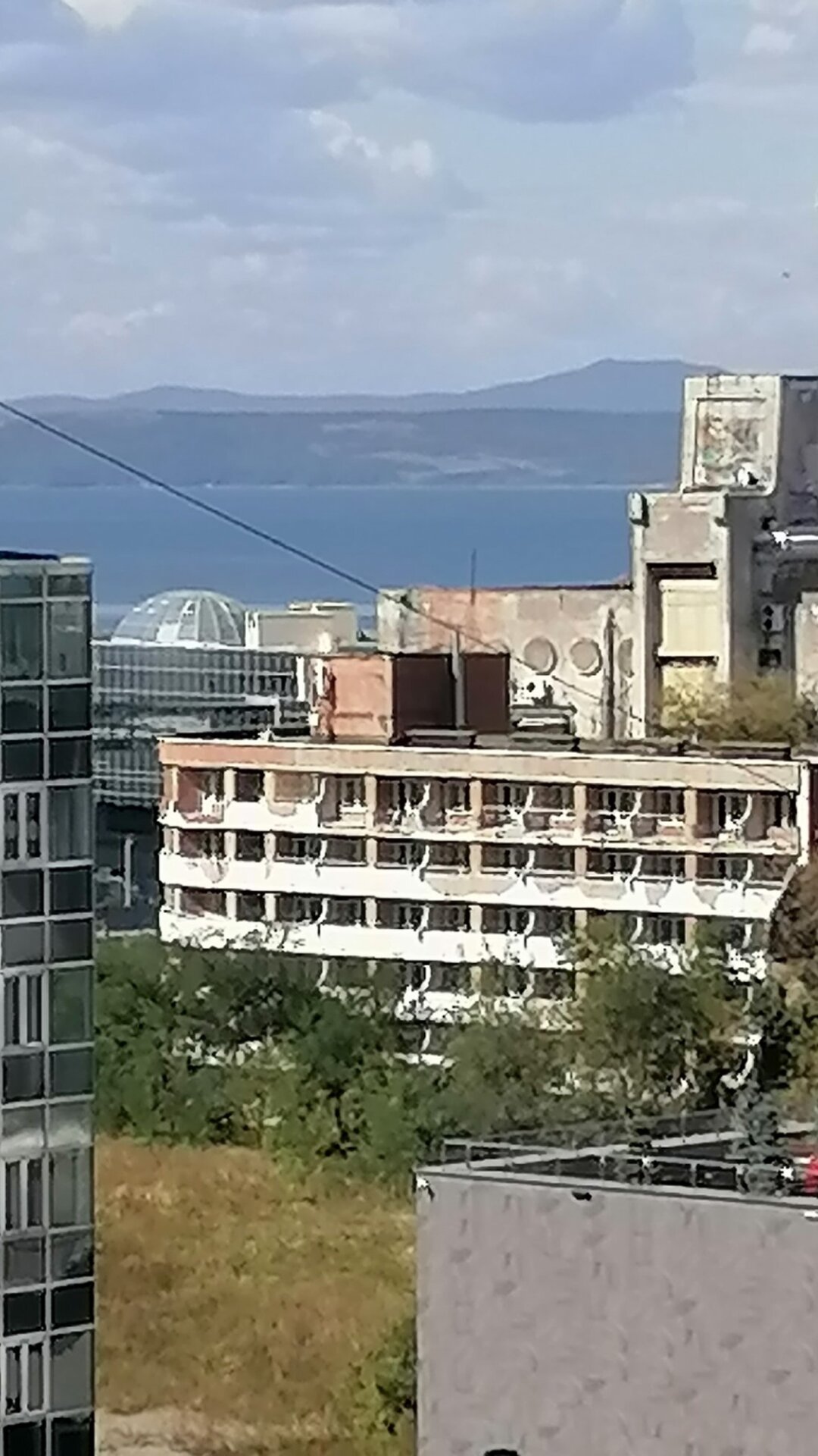 Фото Жемчужина