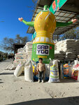 Arzon Market (Khorezm Region, Khiva, Istiqbol ko'chasi), grocery