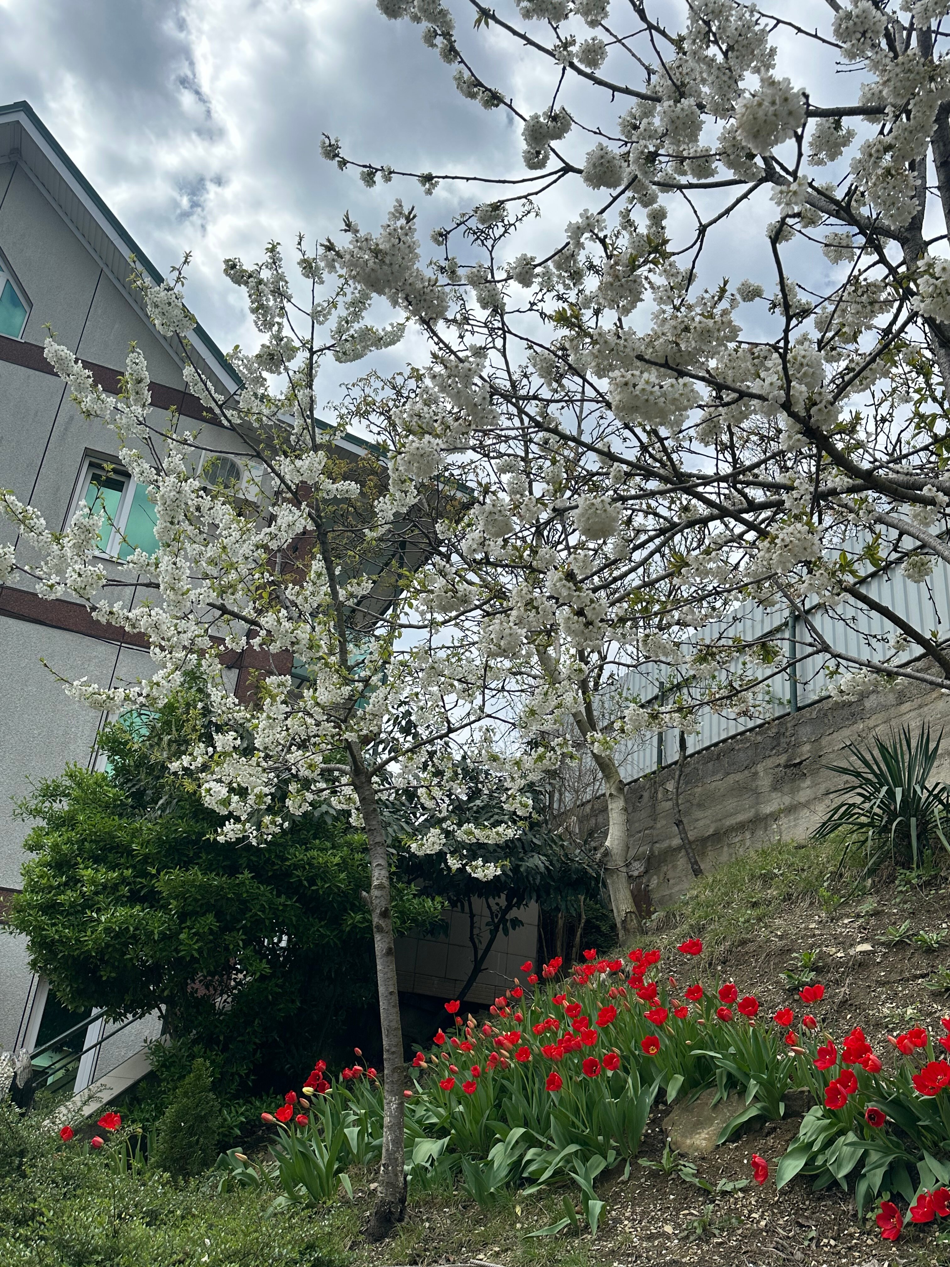 Фото Сибирячка