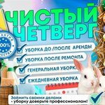 Чистый Четверг (ulitsa Grigoriya Kukuyevitskogo, 15Б) ، خدمات التنظيف