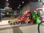 Магазин искусственных цветов (Veshnyakovskaya Street, 18), artificial plants and flowers