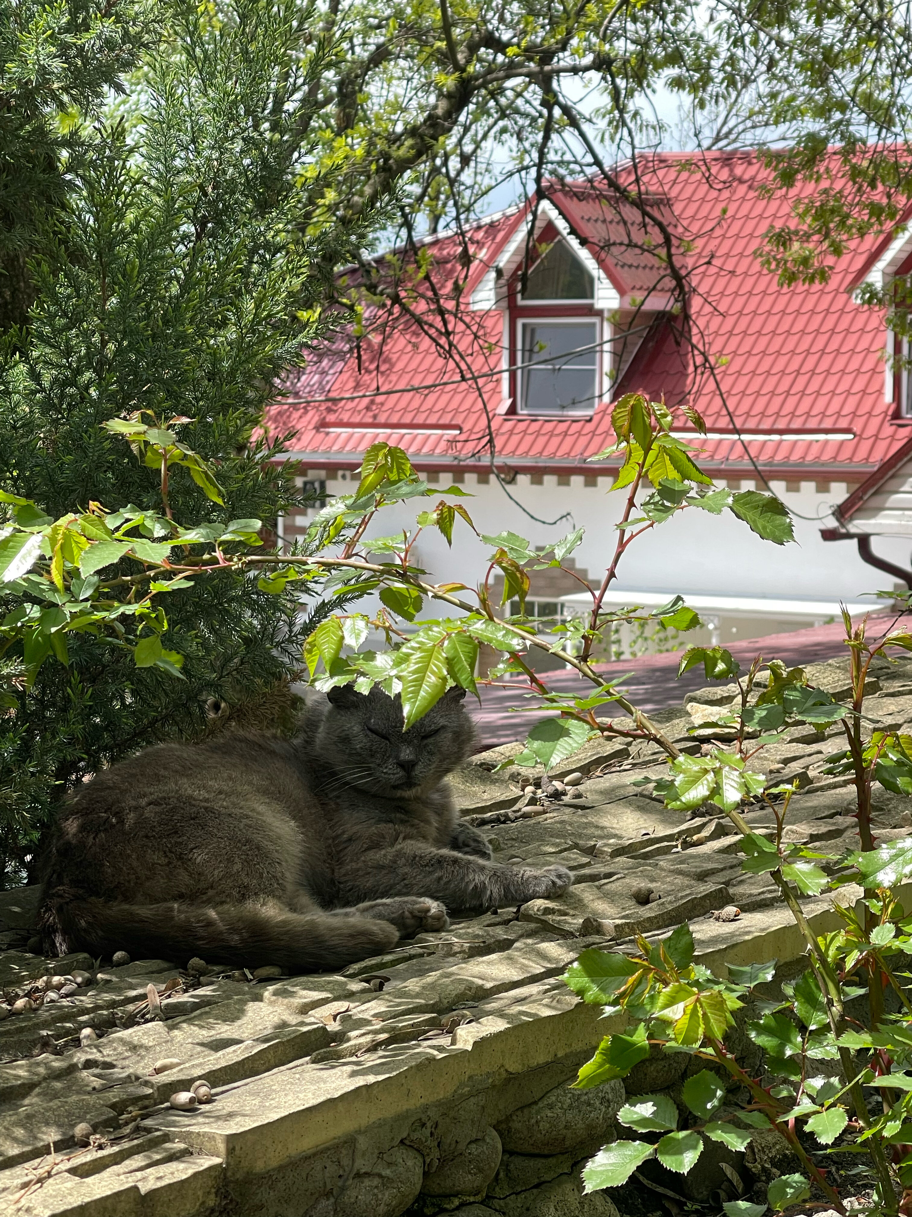 Фото Райский уголок