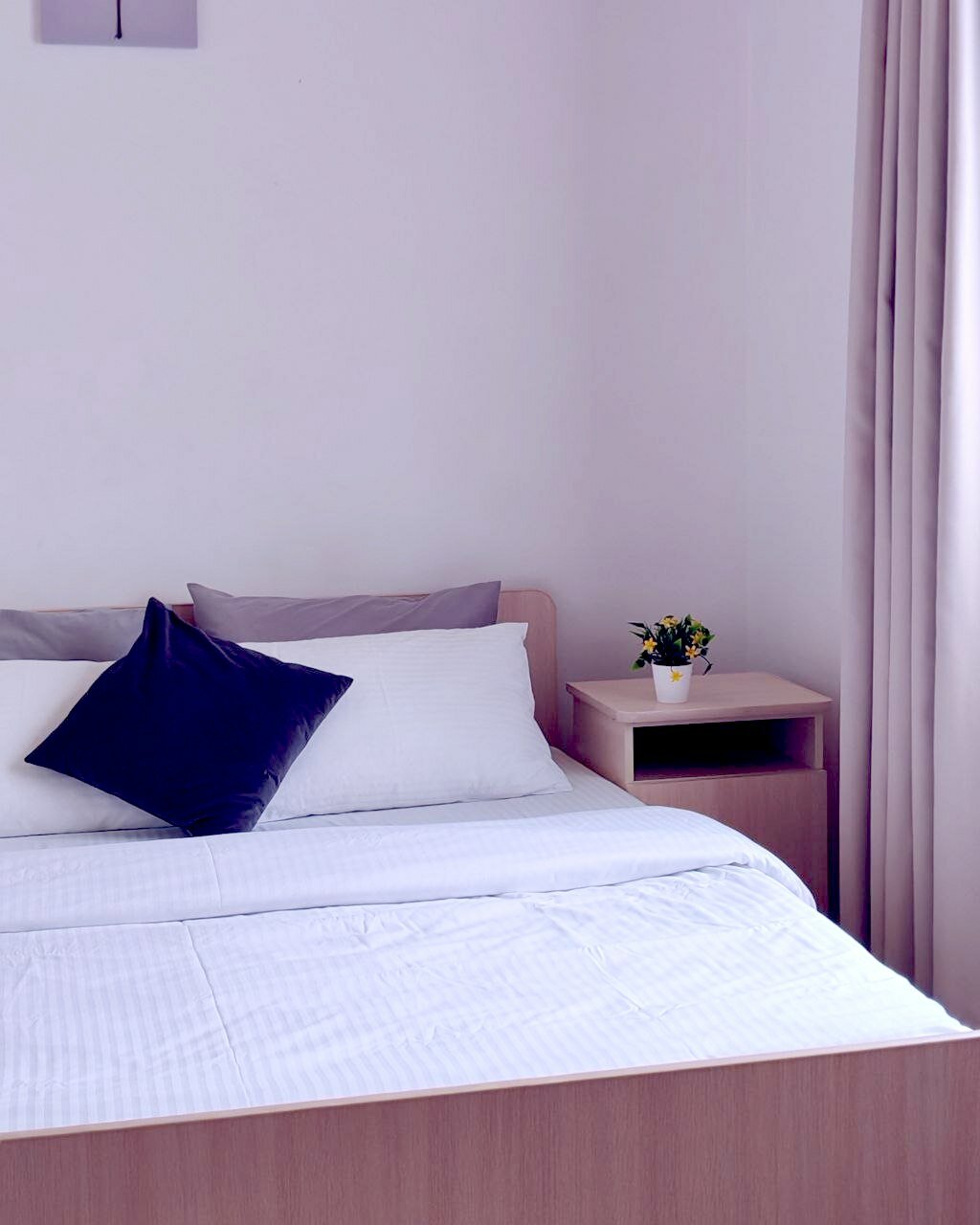 Фото Белый Фламинго