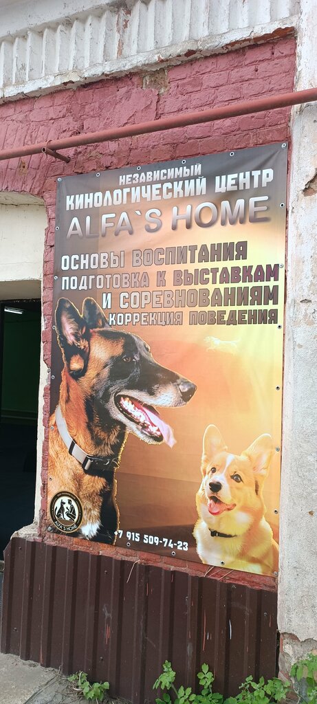 Dog park Alfa's home, Orel, photo