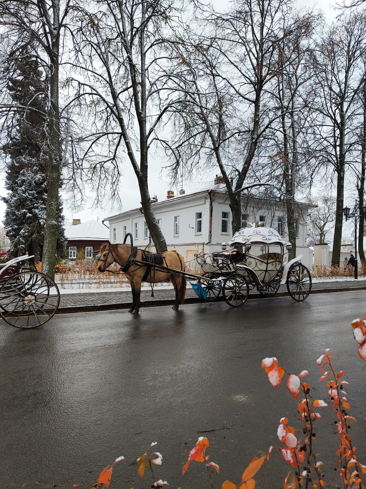 Фото 12 Месяцев