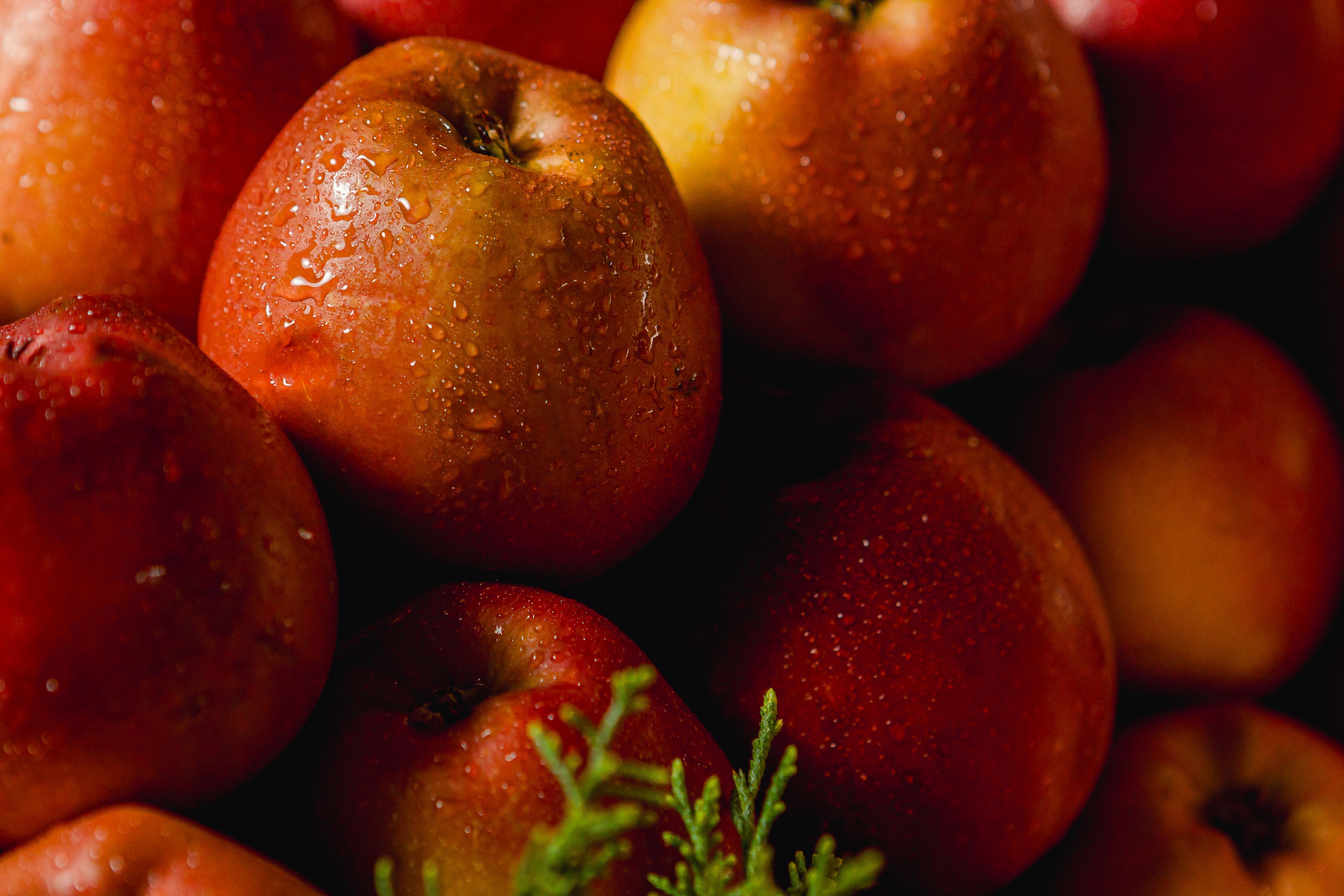 Фото Аквалоо