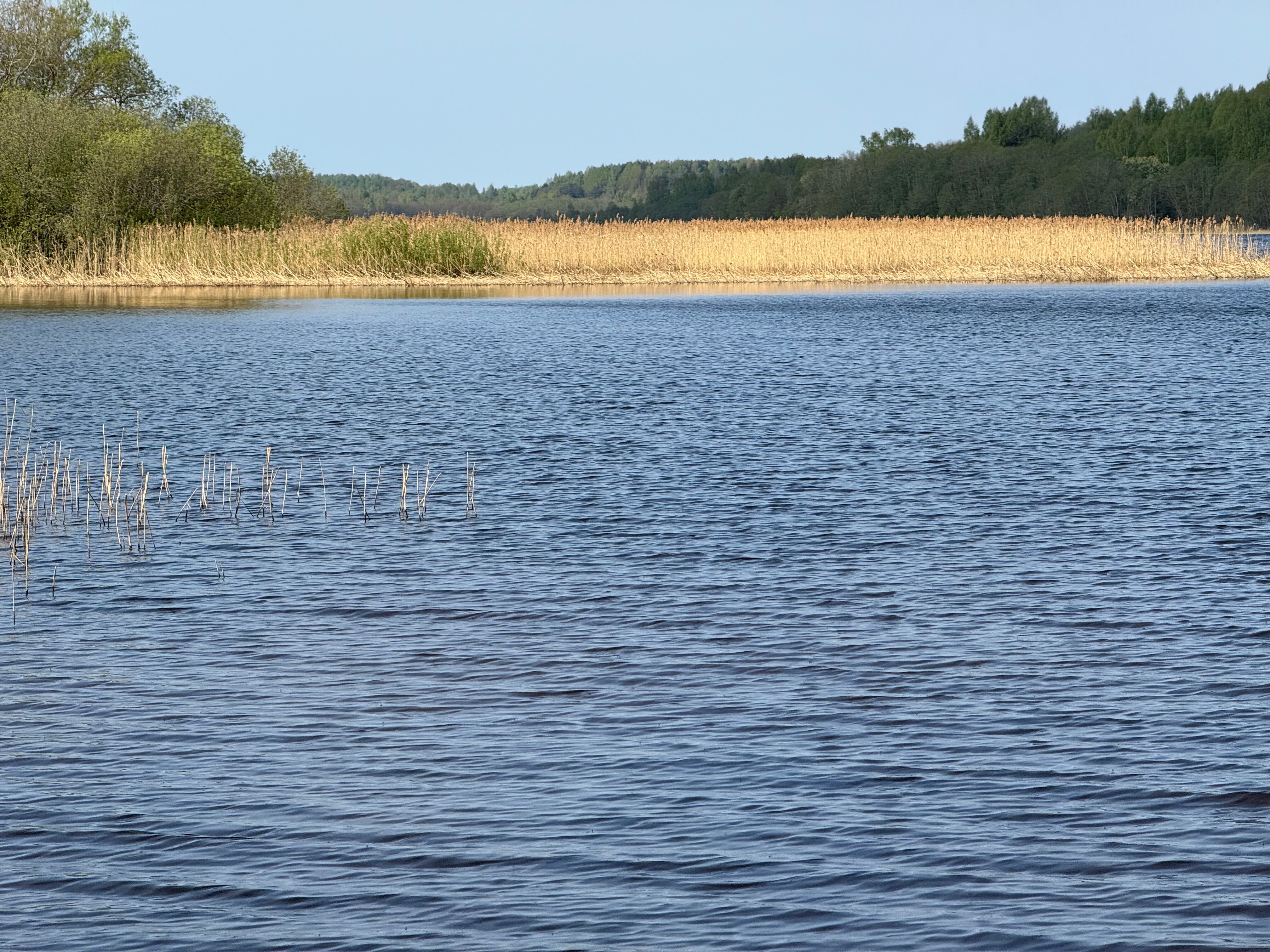 Фото Рутавечь