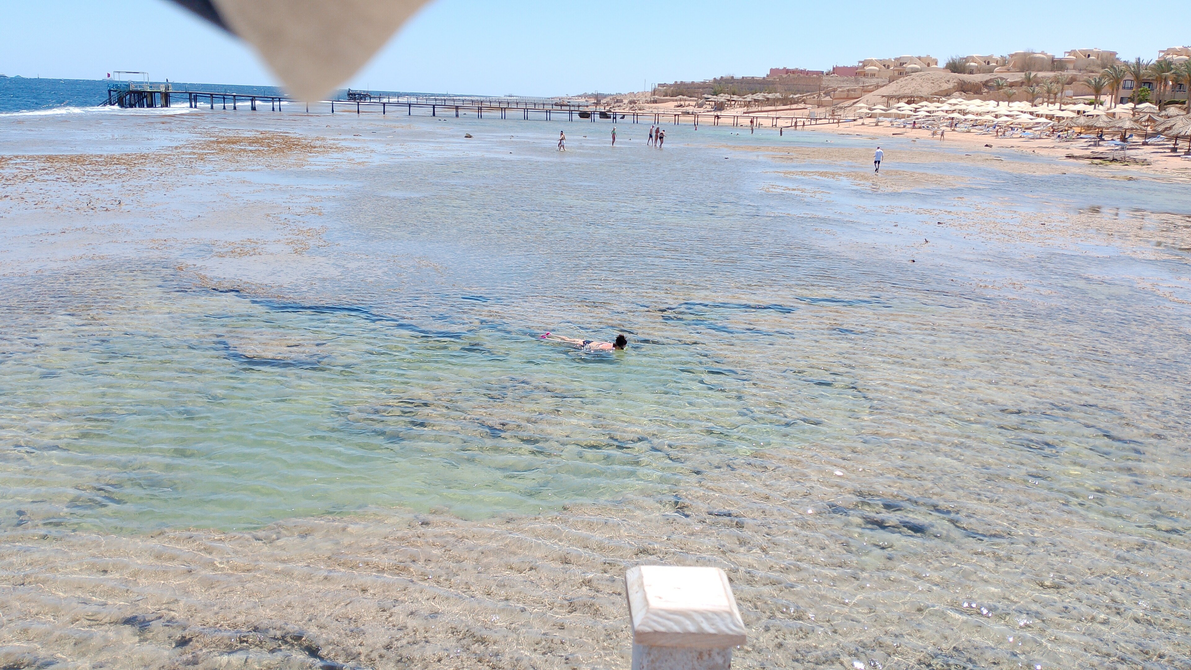 Фото Rehana Sharm Resort