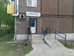 B. Flowers (Borsoeva Street, 7), floristeria