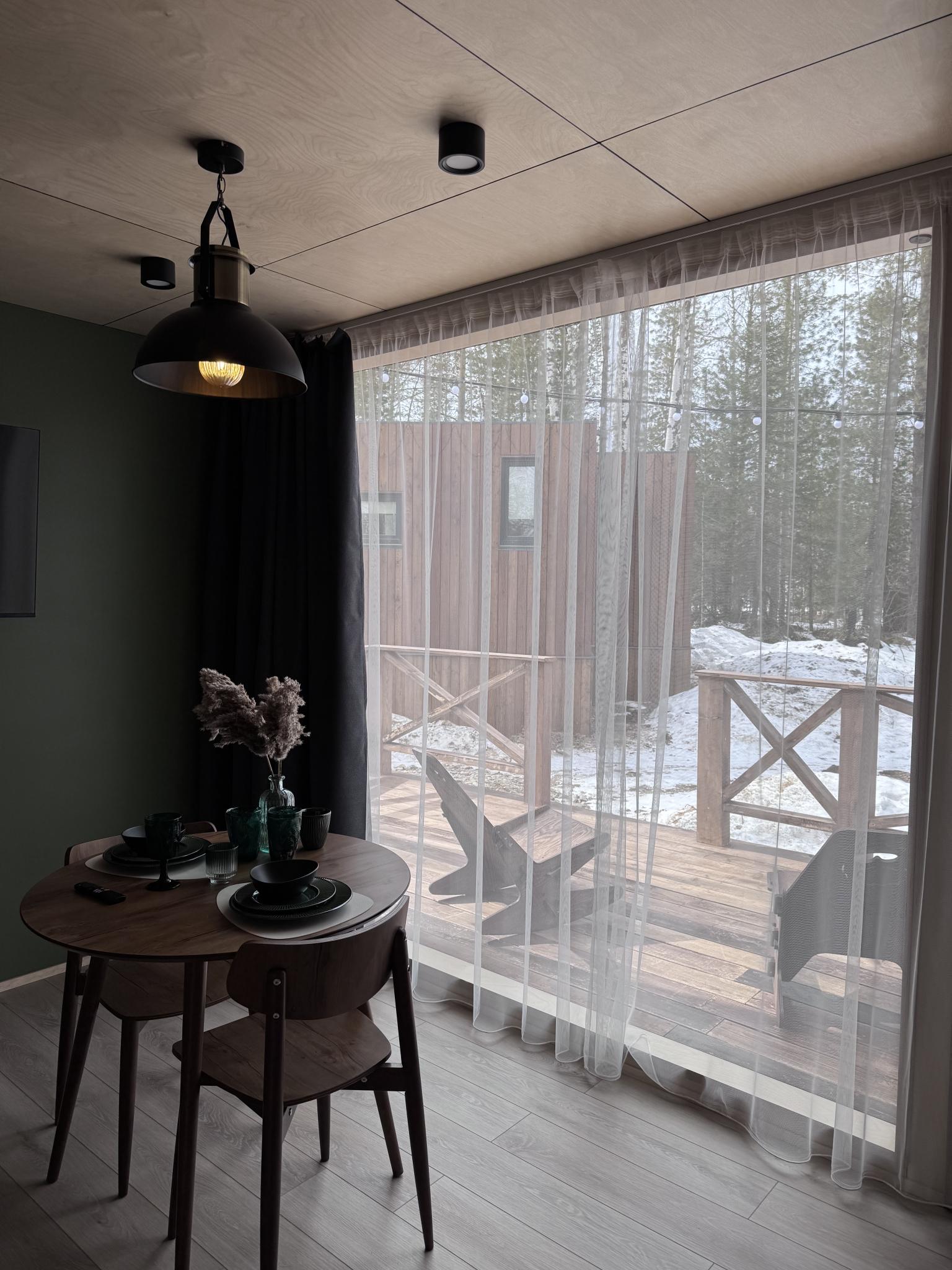 Фото Снежные Гуси