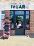 Ivuar (Sadovaya ulitsa, 85), flower shop