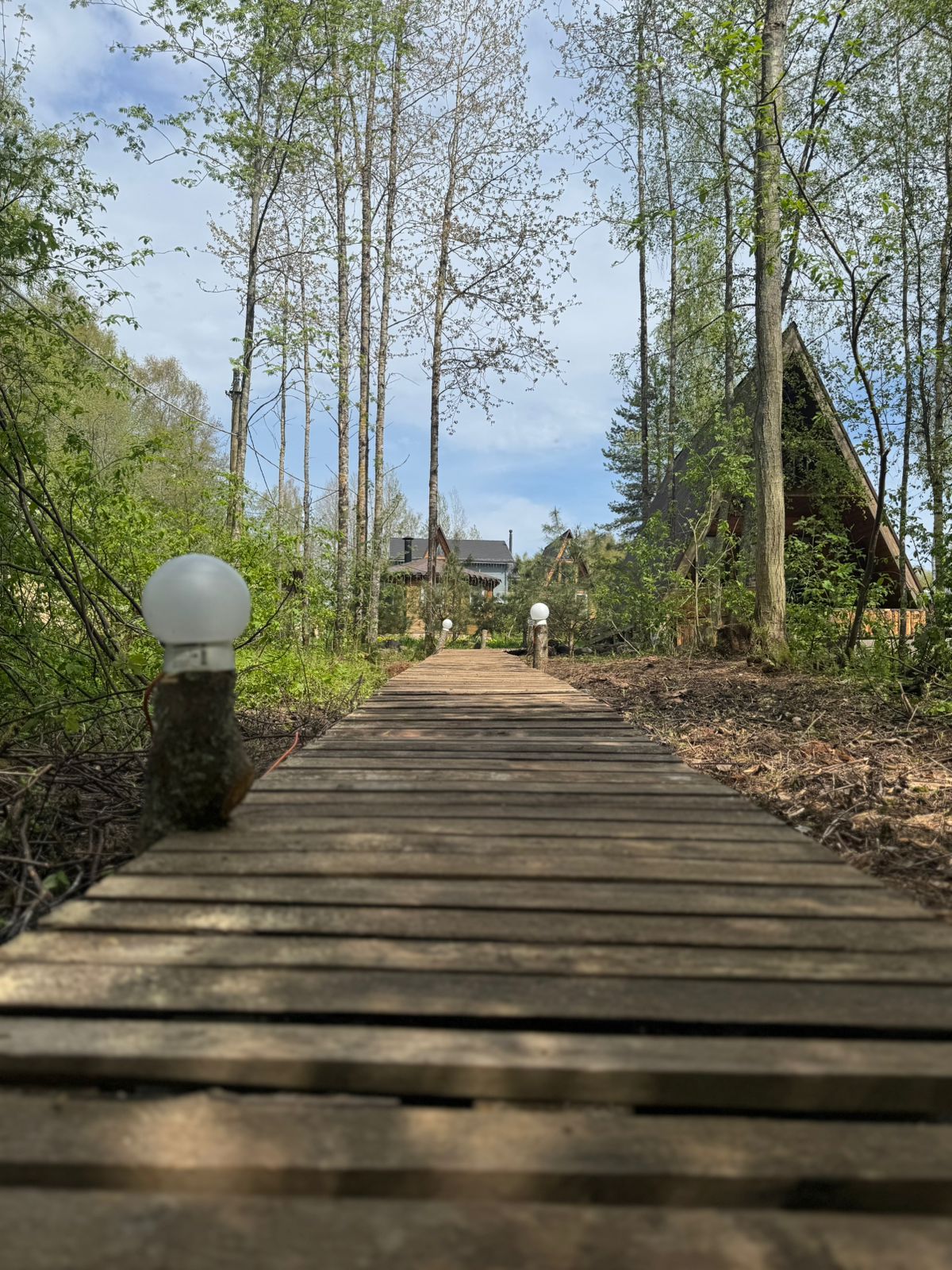 Фото Рай в шалаше