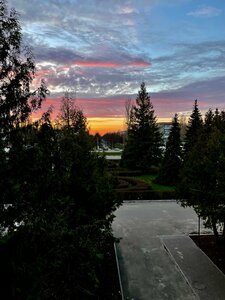 Лекс