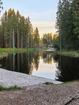 Лисья нора (derevnya Mistolovo, Sportivny proyezd, 5), hotel