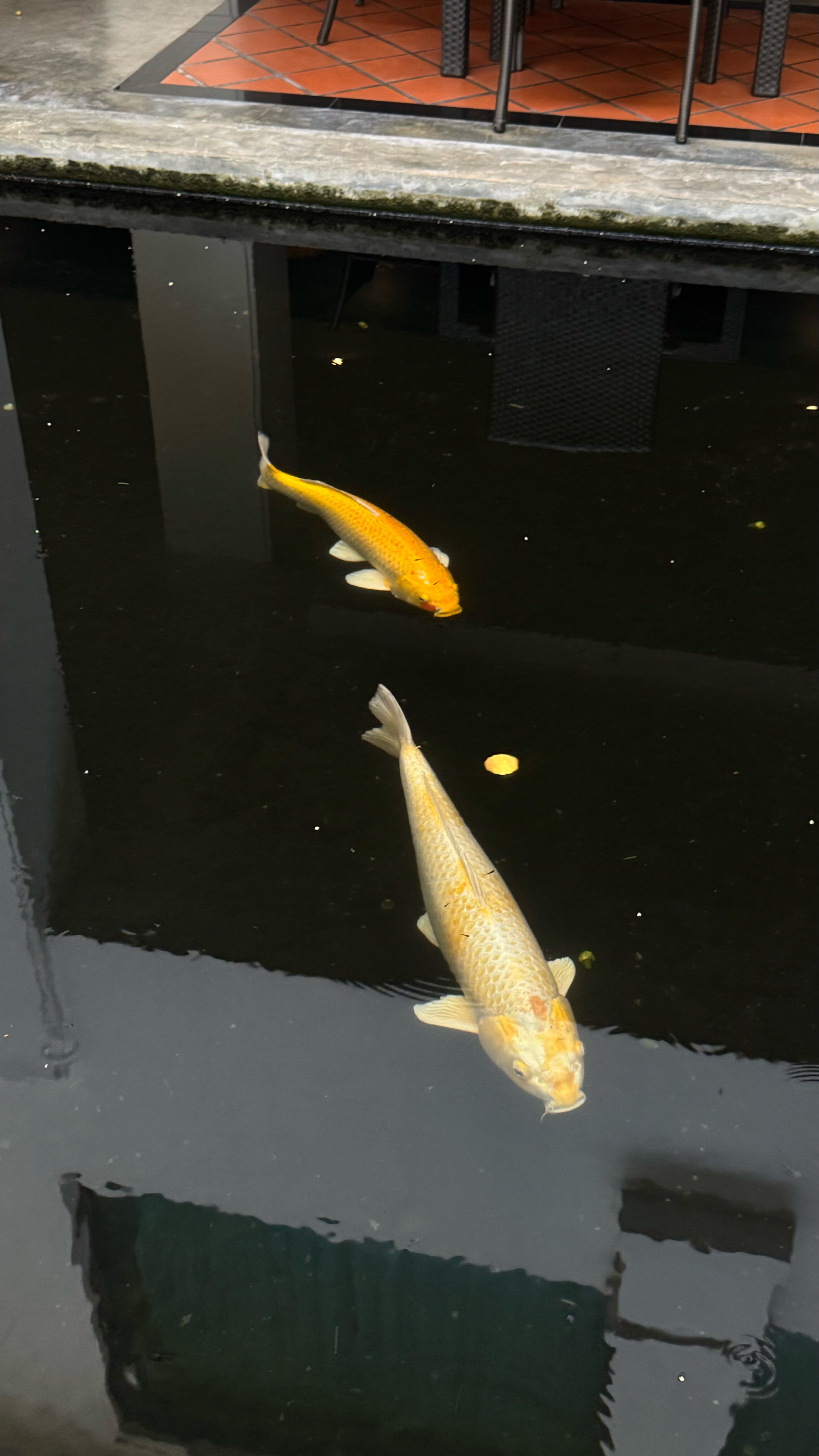 Фото Naithonburi Beach Resort