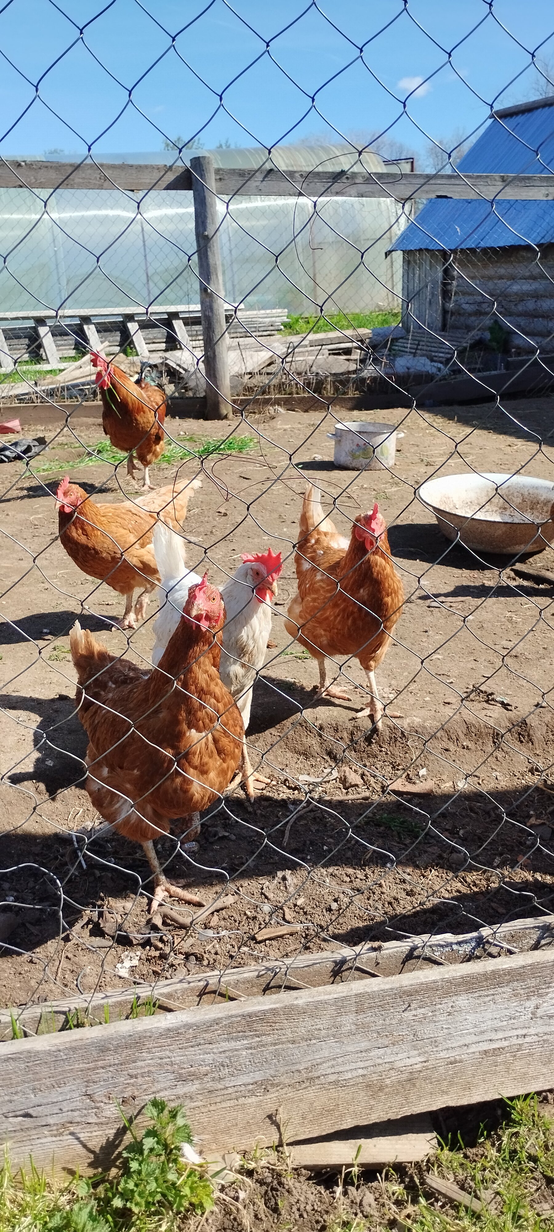 Фото Гостевая деревня Ежезеро