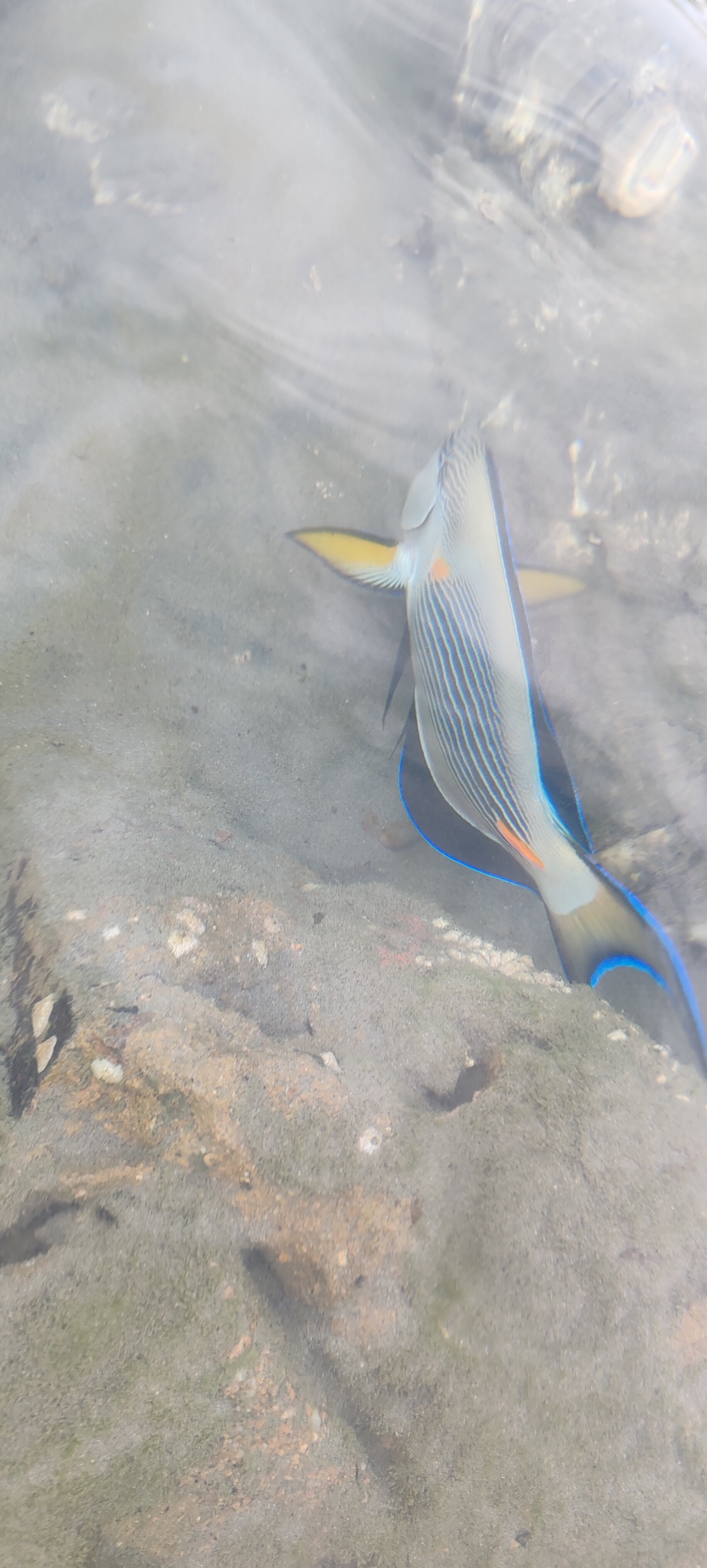 Фото Lido Sharm Hotel