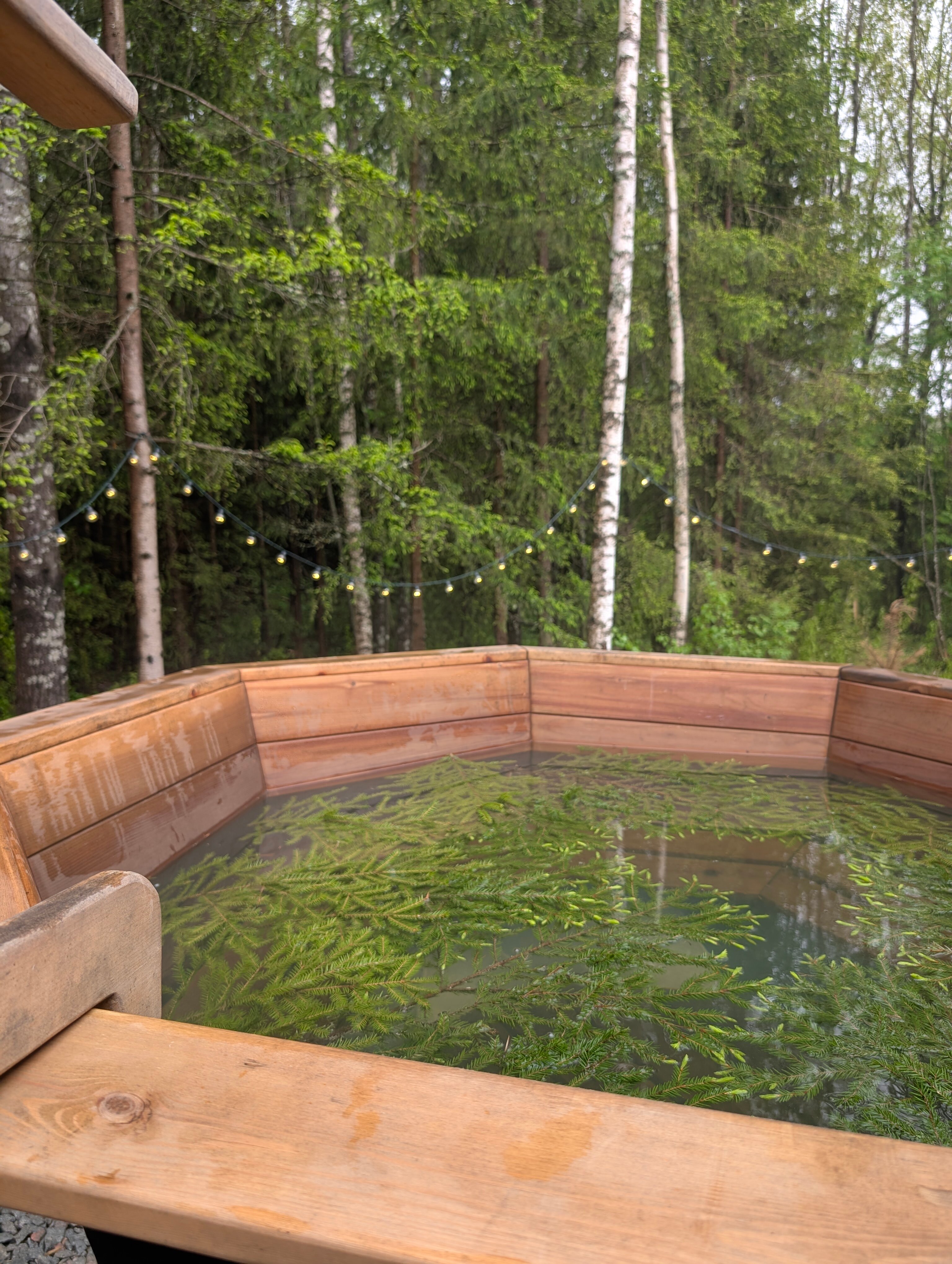 Фото Ёлки Чилл