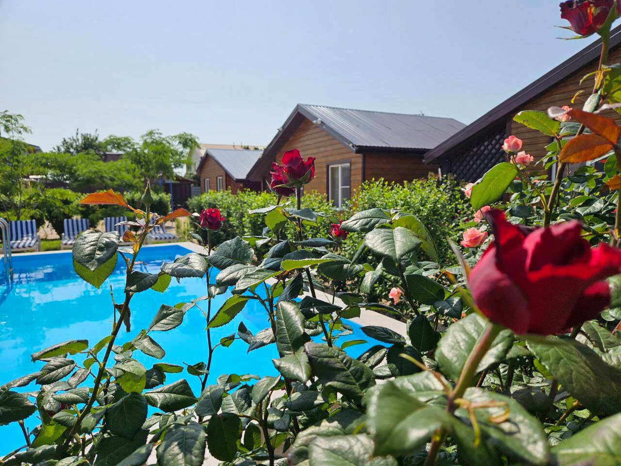 Фото Дом для отдыха на Фрунзе