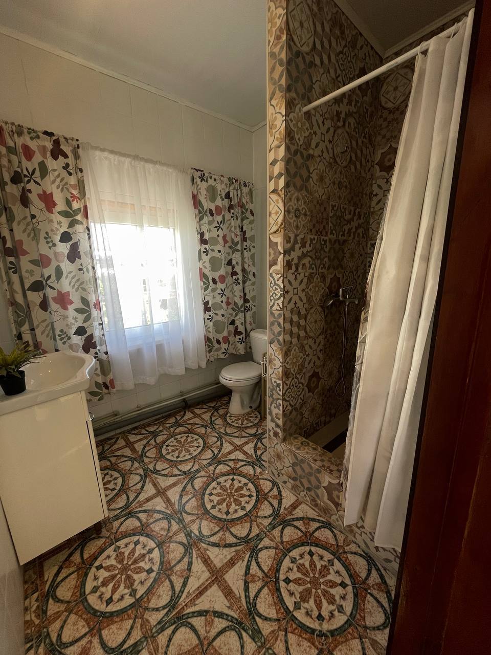 Фото Подсолнух