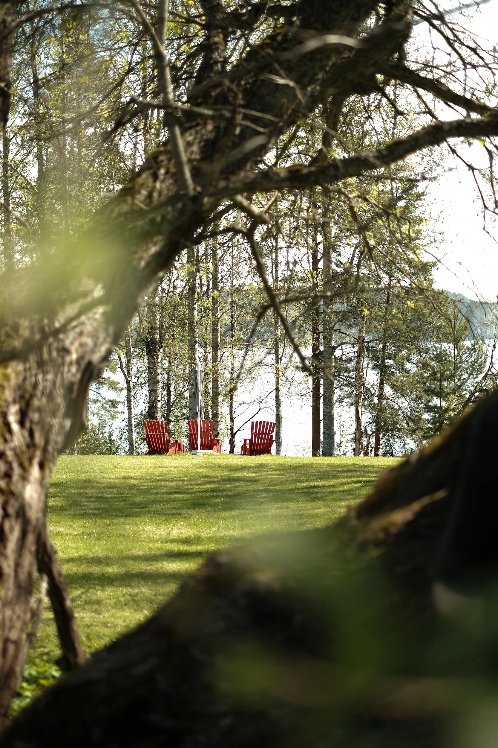 Фото Forrest Lodge Karelia