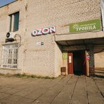Троица (derevnya Pcheva, Sovetskaya ulitsa, 15А), supermarket