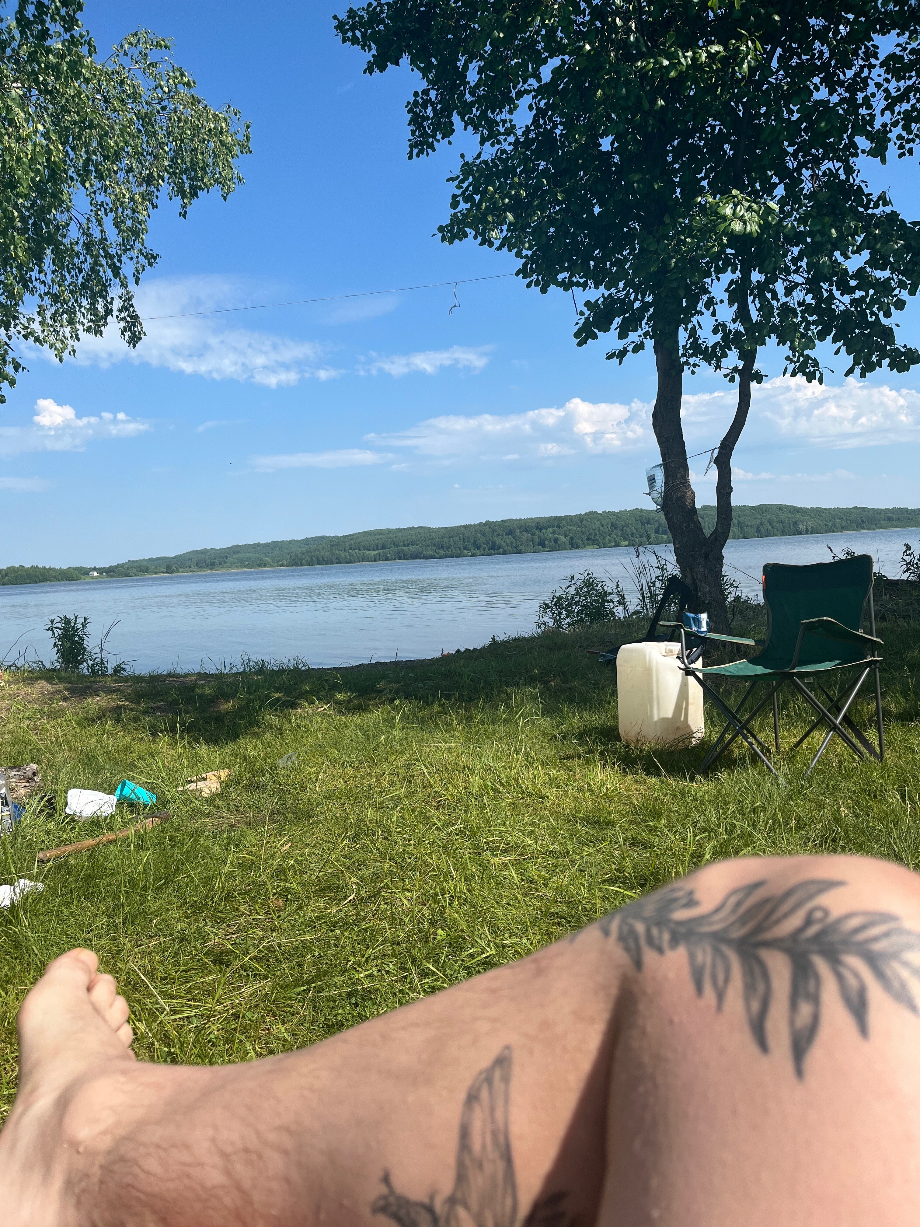 Фото Облепиха