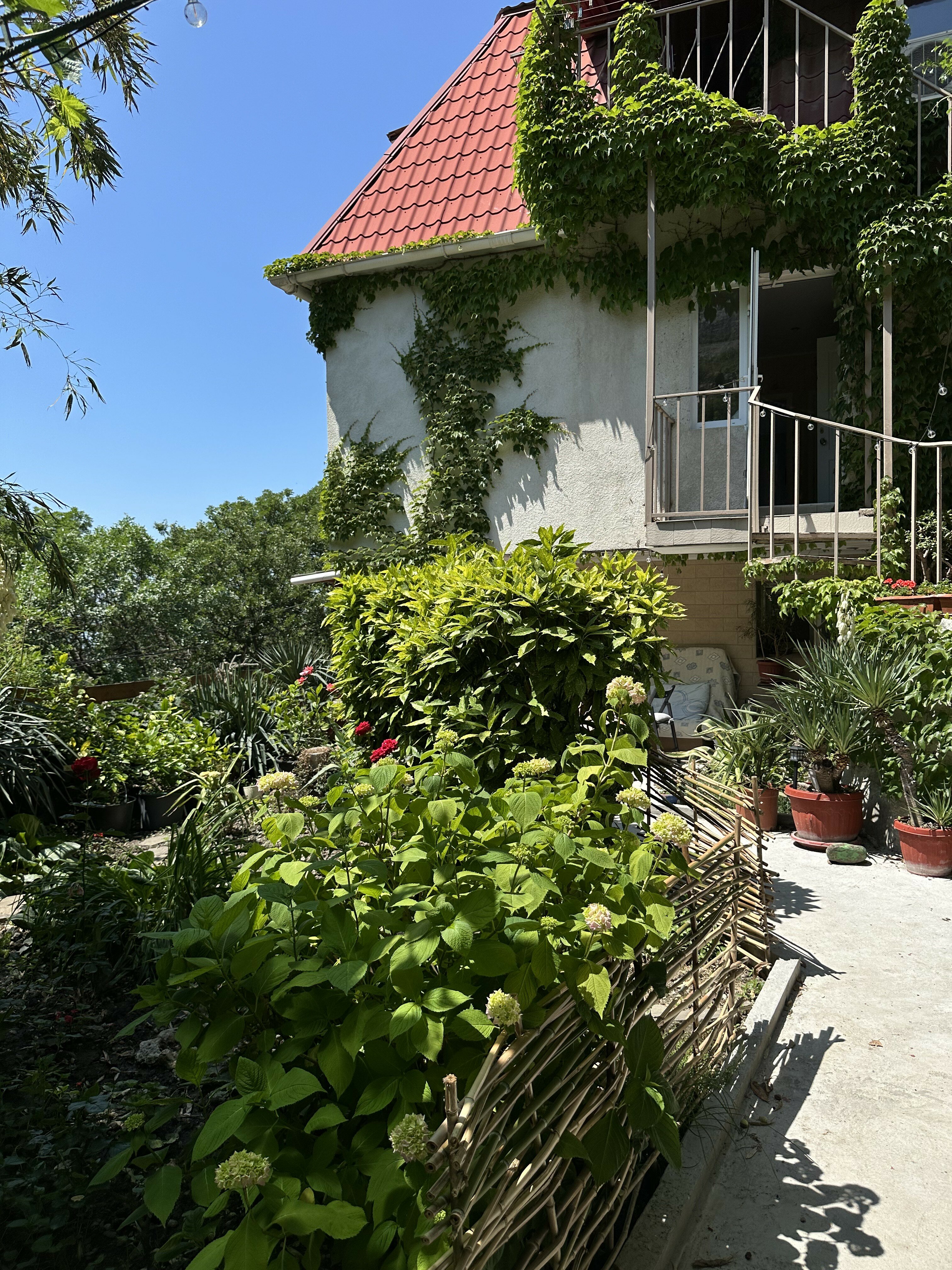 Фото Теремок